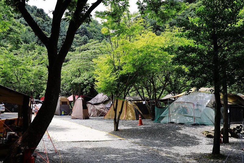 맑은물소리캠핑장 시설 사진 3