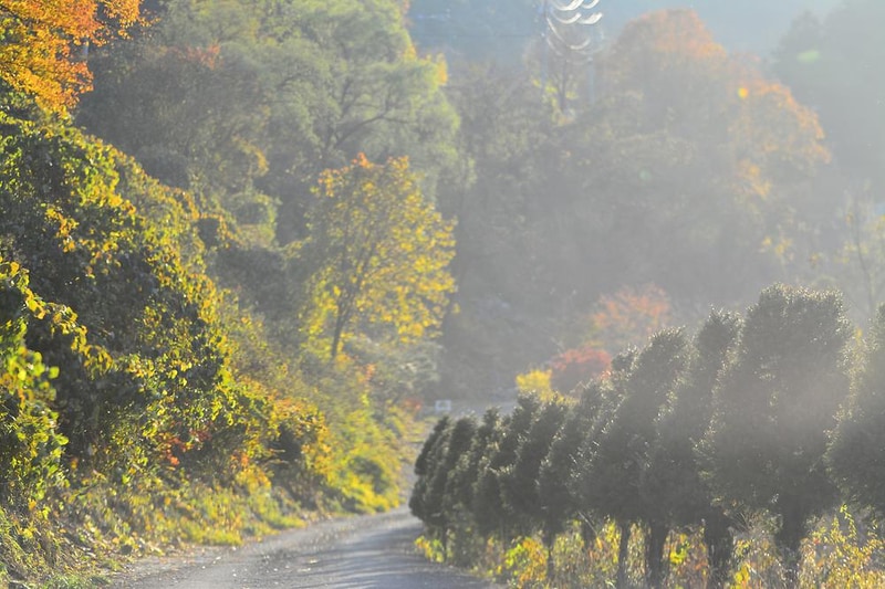 화야 캠핑장 시설 사진 1