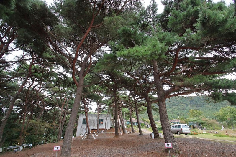 상양관광농원 시설 사진 11