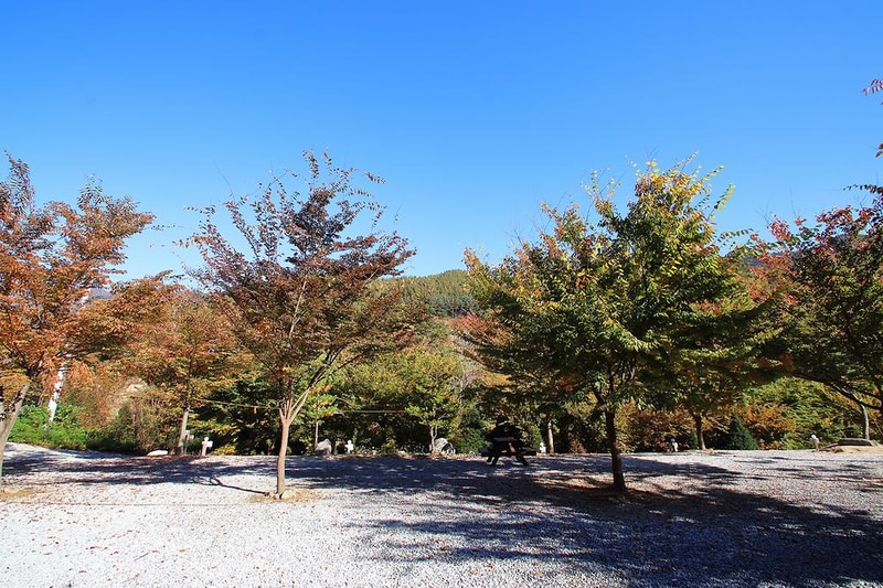 비로야영장 시설 사진 10