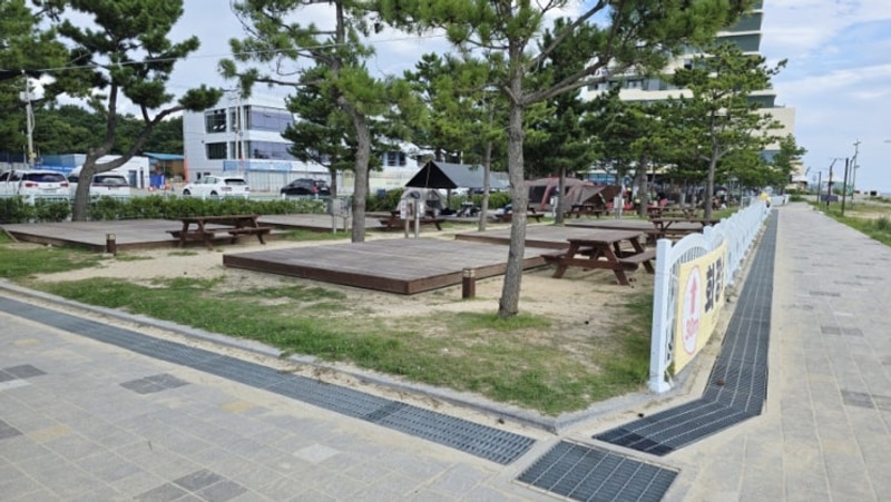 초등 자녀와 고성 오호캠핑장 B3 & 송지호 해수욕장