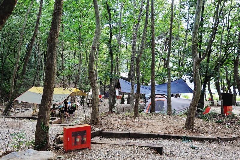 하남 야영장 시설 사진 8