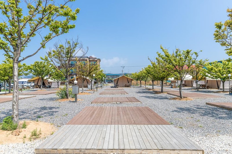 학암포나로야영장 시설 사진 13