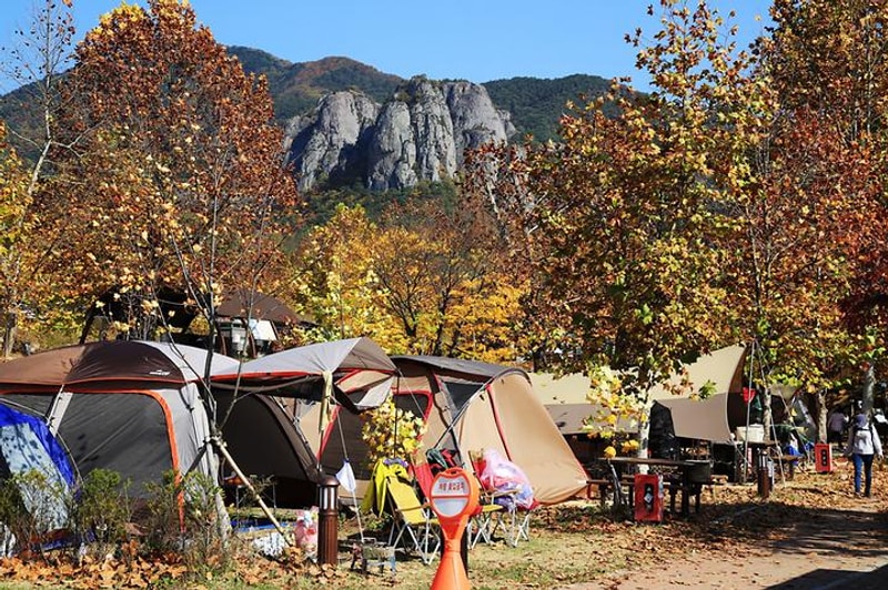 주왕산국립공원 상의자동차 야영장 대표 사진