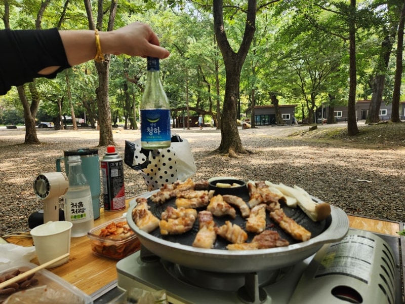 청주캠핑장/ 금관숲캠핑장/ 청주계곡