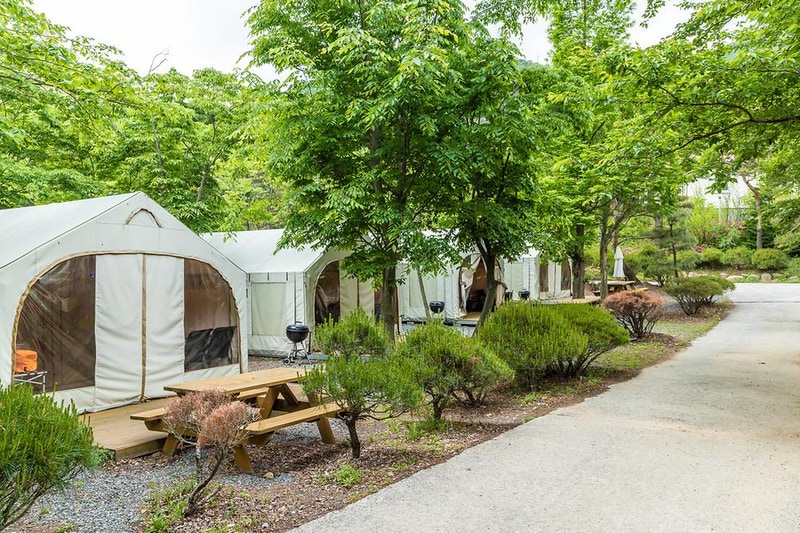 노꼬담꼬 시설 사진 16