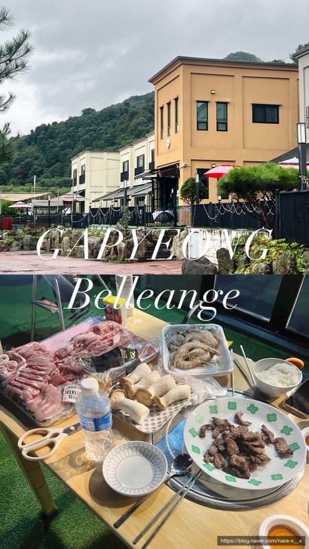 수영장 있는 애견 동반 가능한 '가평 벨르앙쥬 펜션 & 캠핑장'