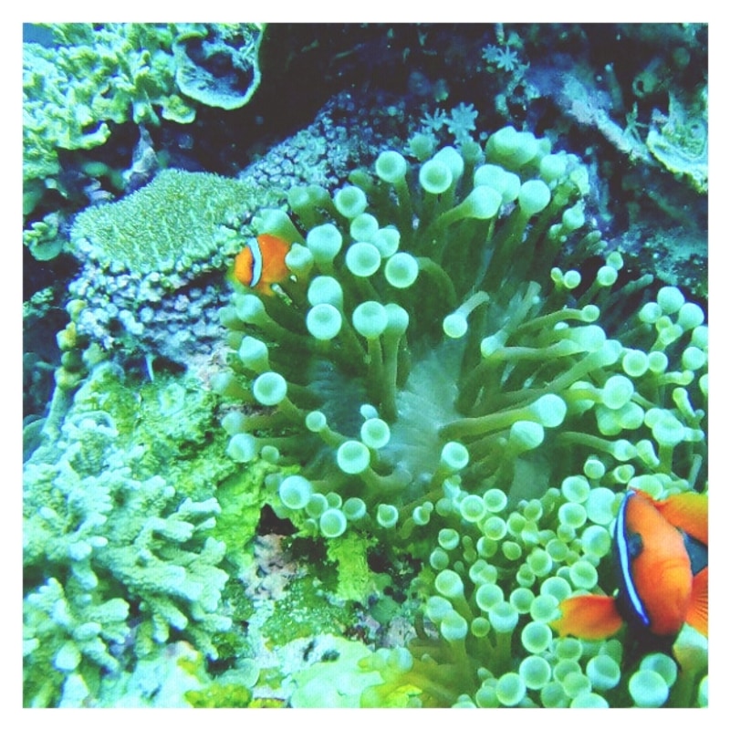 제천 명암오토캠핑장 자연 속 힐링과 가족 나들이 즐기기