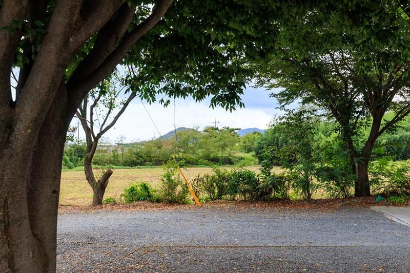 아름드리 캠핑장 대표 사진
