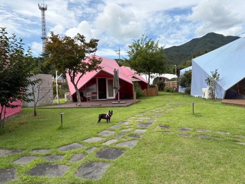 서울근교 홍천글램핑 애견동반 가능한 바누글램핑