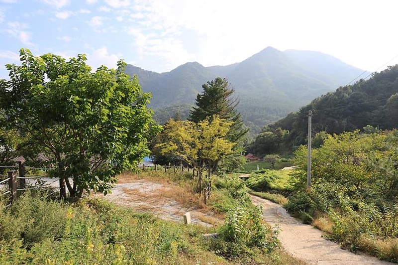 산대분교공공캠핑장 대표 사진