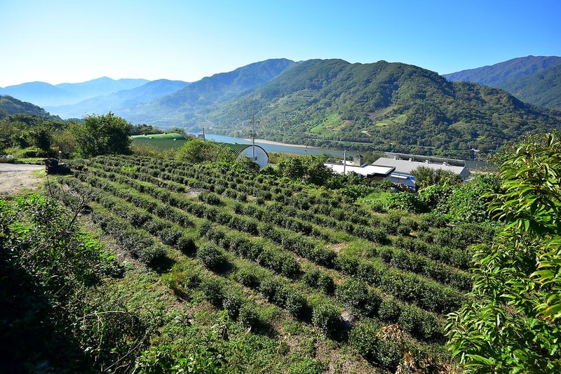 흙집섬진강풍경 시설 사진 11