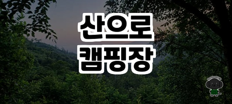 강원도 홍천 숲속 힐링 캠핑, 산으로캠핑장 솔직 후기✨