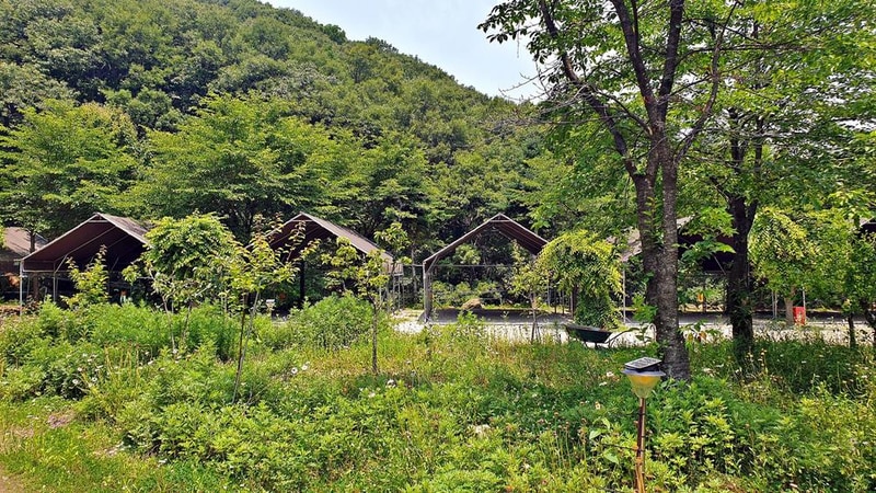 싱글벙글캠핑장 시설 사진 18