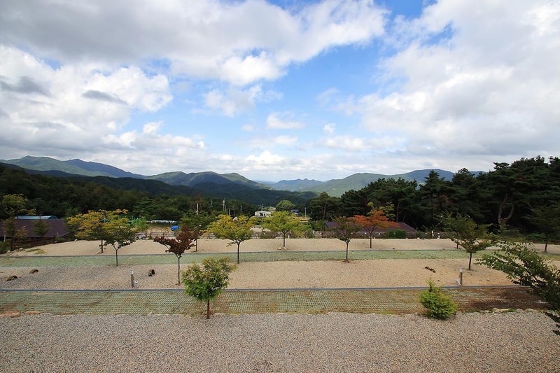 한티별빛아래관광농원 야영장 시설 사진 5