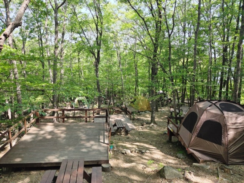 양산 가성비 캠핑 대운산 자연휴양림 야영장 1박 후기(58번...