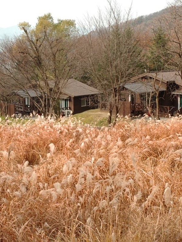 용인자연휴양림ㅣ25번 데크 야간캠