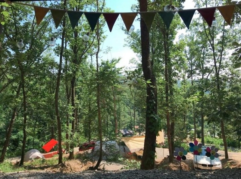 춘천 더숲 캠핑장 대표 사진