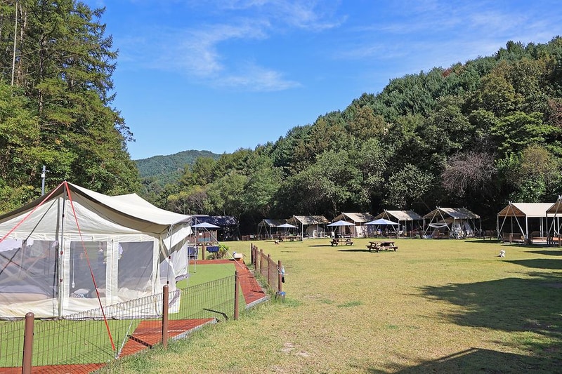 캠핑중DOG 시설 사진 17