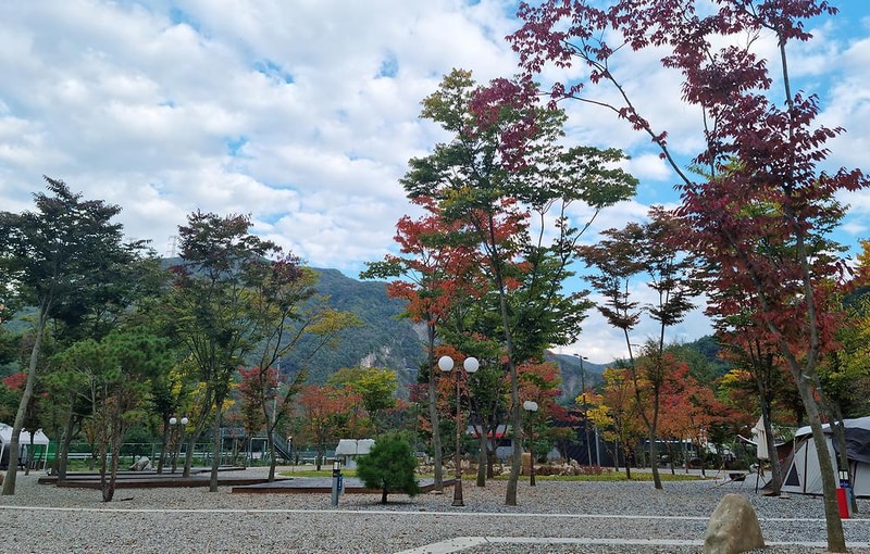 가네골농원 시설 사진 12