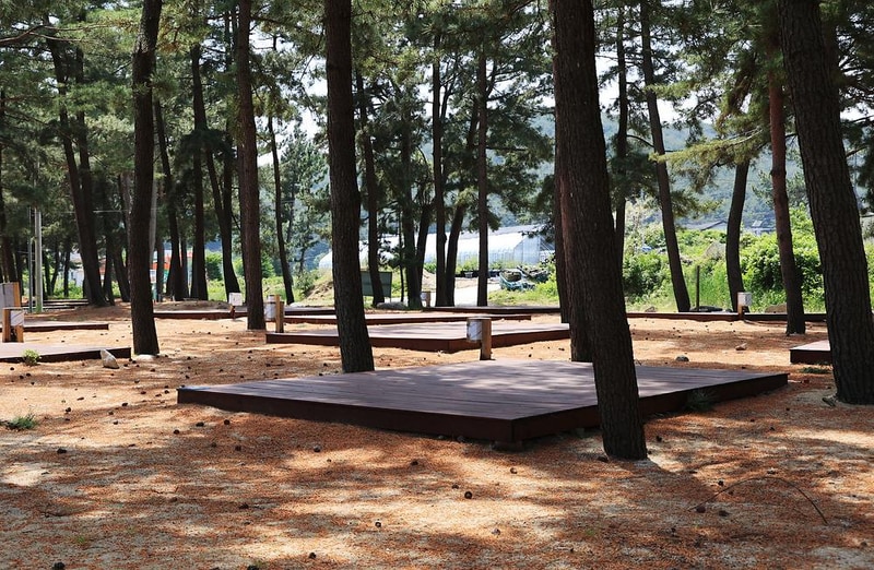 북분솔밭캠핑장 시설 사진 4