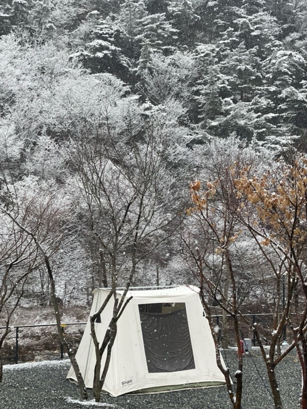 [캠핑기록5] 제천 월악아지트캠핑장(2024. 02.)