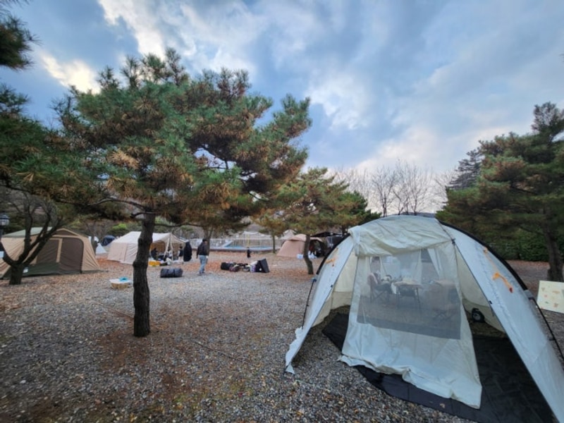 파주 캠프예그리나 캠핑장–아이들과 오기 좋지만 아쉬움도...