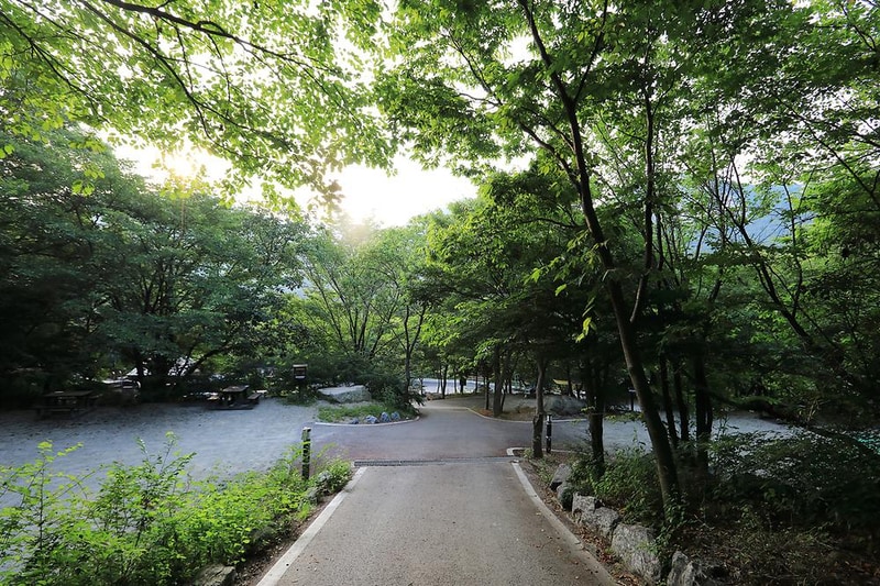 계룡산동학사자동차야영장 시설 사진 3