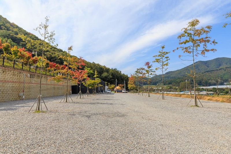 진천포레스트캠핑장 시설 사진 16