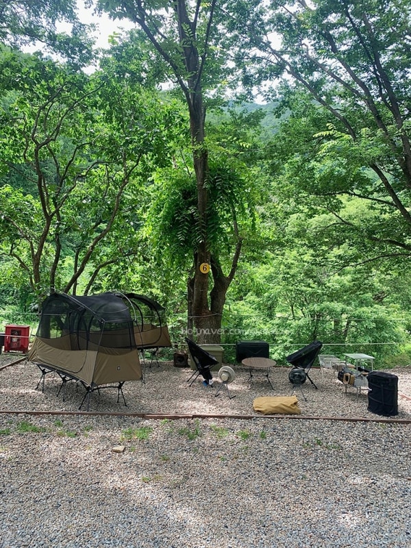 민박 애견 동반 다 되는 계곡 캠핑장 어디? 영동 맑은 누리 캠핑장