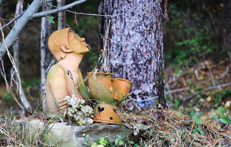 다올숲 시설 사진 15