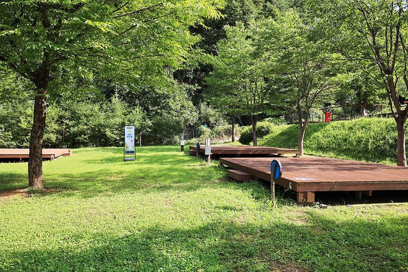 라이프위드도그 시설 사진 6