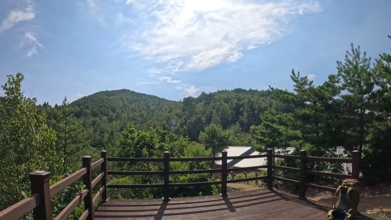 강원도 태백 매봉산 천상의 숲 캠핑장 B29번 1박 2일 후기.