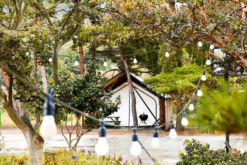 수림 휴원 시설 사진 4