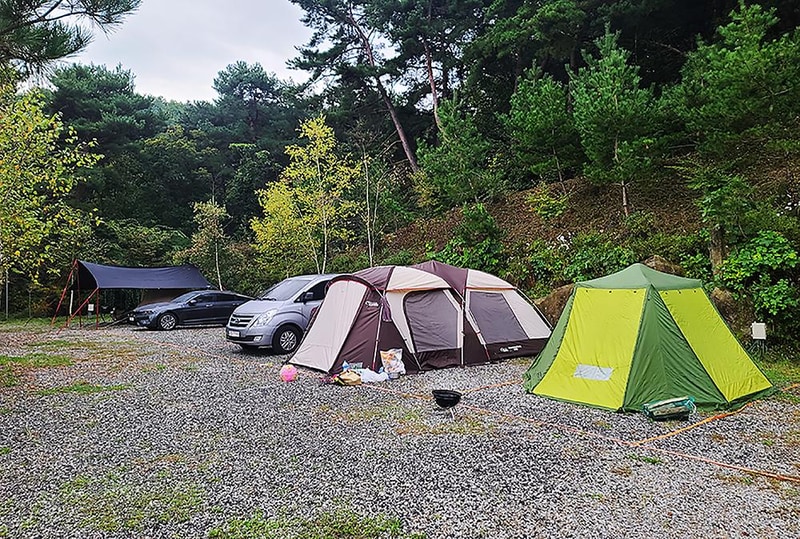 명봉산솔밭관광농원오토캠핑장 시설 사진 2