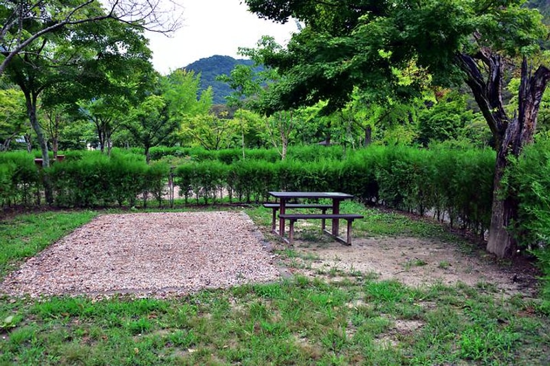 백양사 가인야영장 대표 사진