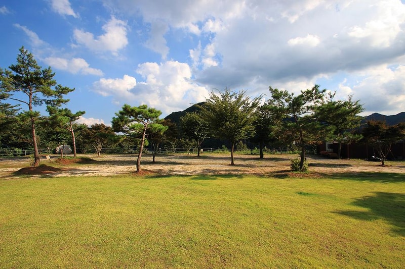 충주호캠핑월드 시설 사진 19