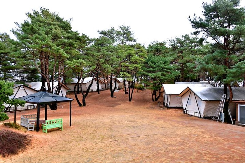 느랭이골 자연휴양림 일반야영장 대표 사진