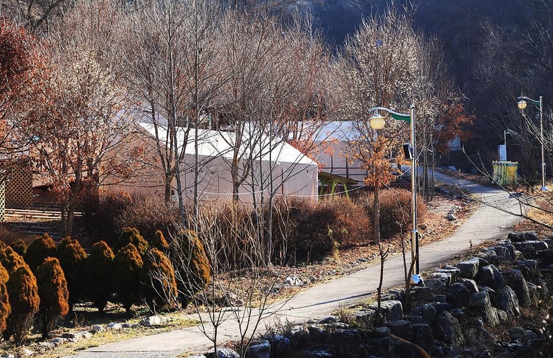 춘천숲자연휴양림엔글램핑 시설 사진 11