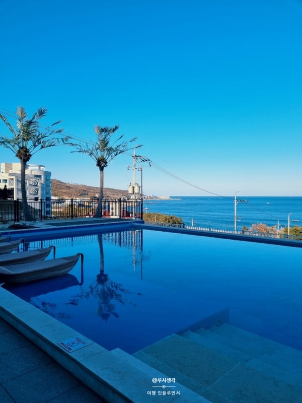 경주 감포 감성 숙소 애견동반 뷰델카라반 펜션 오션뷰