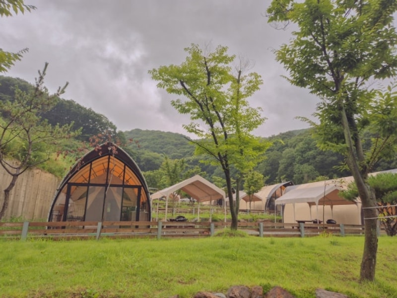 천안 글램핑 몽키캠핑장 계곡 물놀이 가능 신축 키즈 펜션 추천