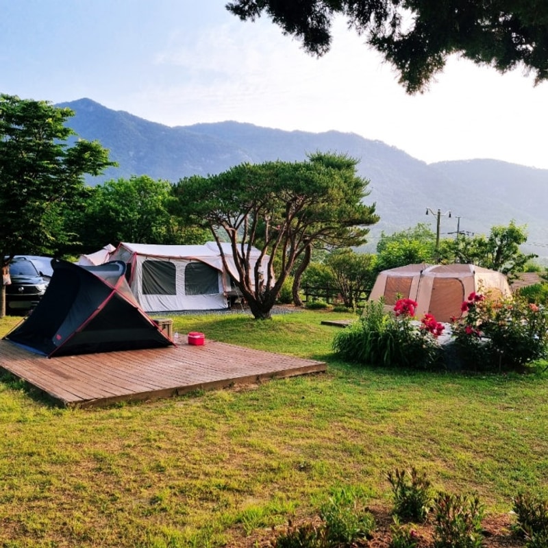 합천휴테마파크 펜션 카라반 수영장이 있는 조경 야간조명이...