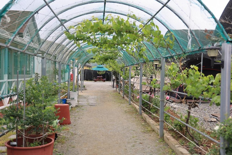 도담2캠핑장 시설 사진 11