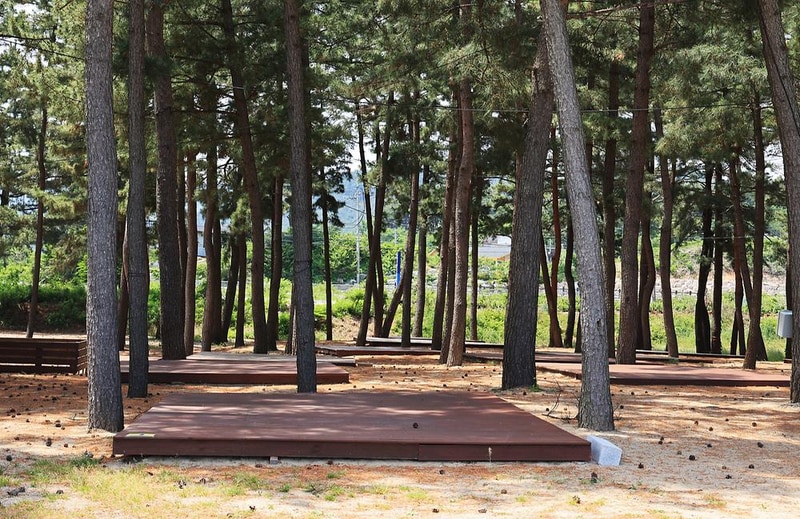 북분솔밭캠핑장 시설 사진 11