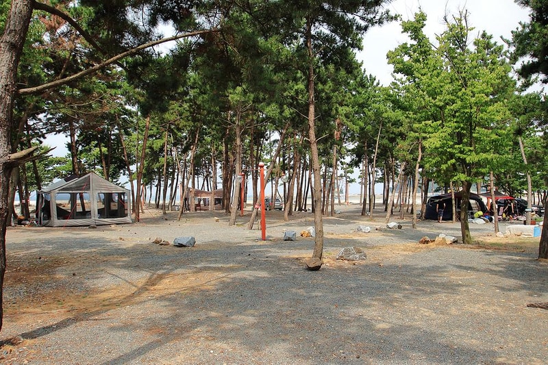 어은돌송림캠핑장 시설 사진 1