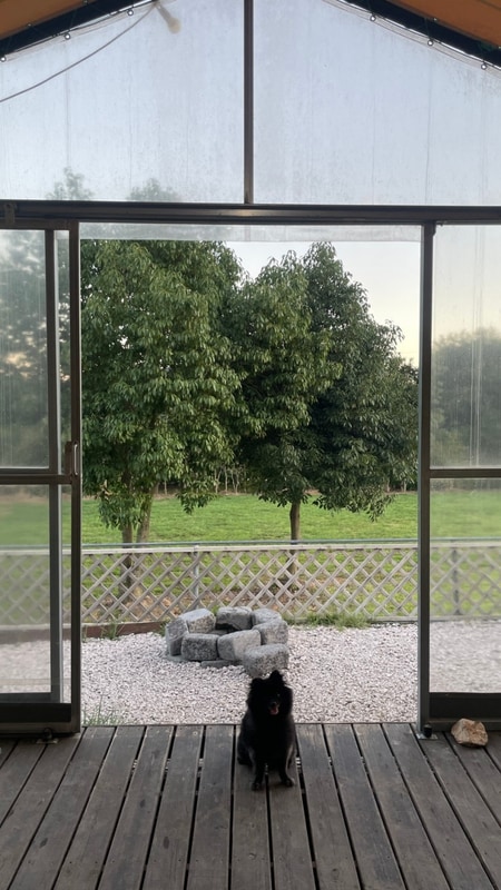 장흥 땡땡이글램핑 강아지랑 다녀온 전남 애견 글램핑 솔직후기