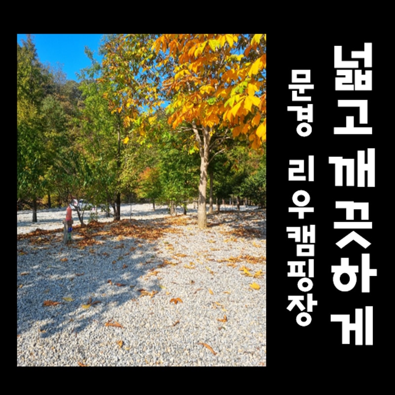 문경 리우캠핑장시설 및 부지, 환경 내 생애 최고 캠핑장