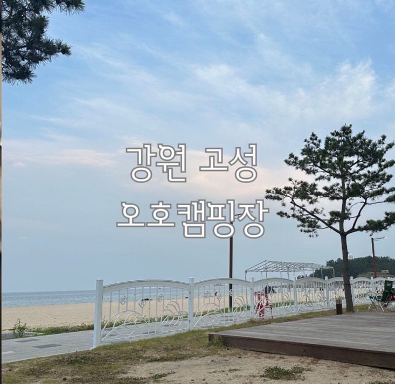 강원도 고성 | 송지호 바다뷰가 멋진 오호 캠핑장, 그리고 명당...