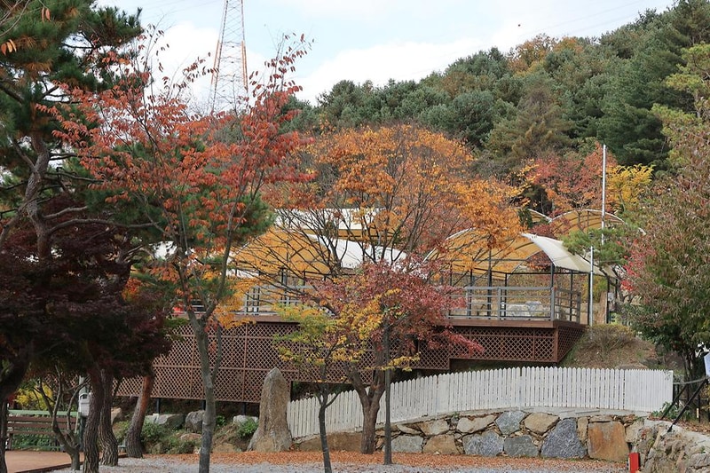 금동휴양림캠프1 시설 사진 1