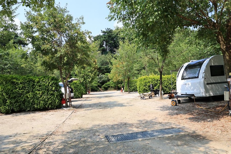 파이브이모션관광농원 시설 사진 12